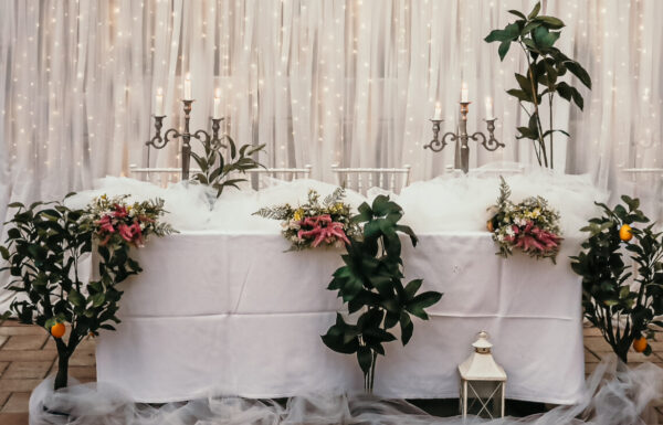 Orealis Events